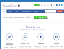 Tablet Screenshot of chelements.com